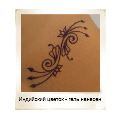 ������ ����