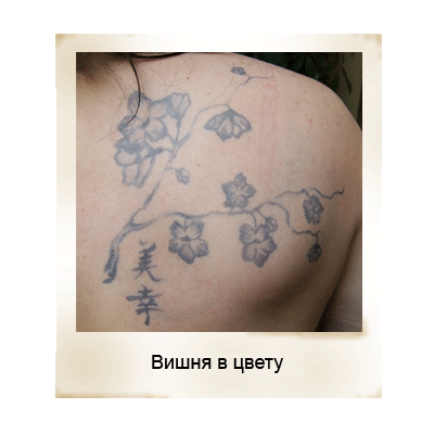 ������ ����